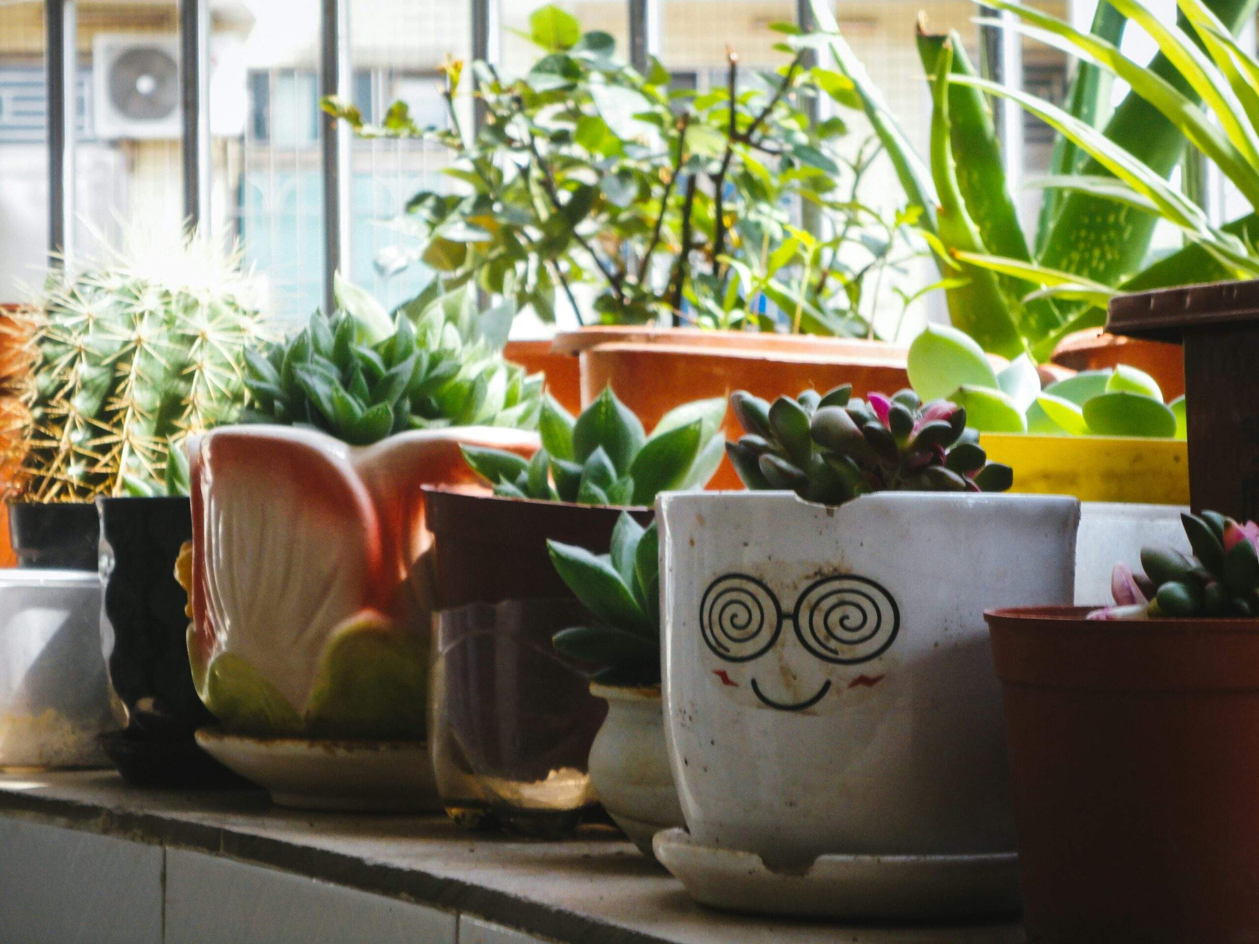 A cozy eco-friendly home with potted plants decorating the space