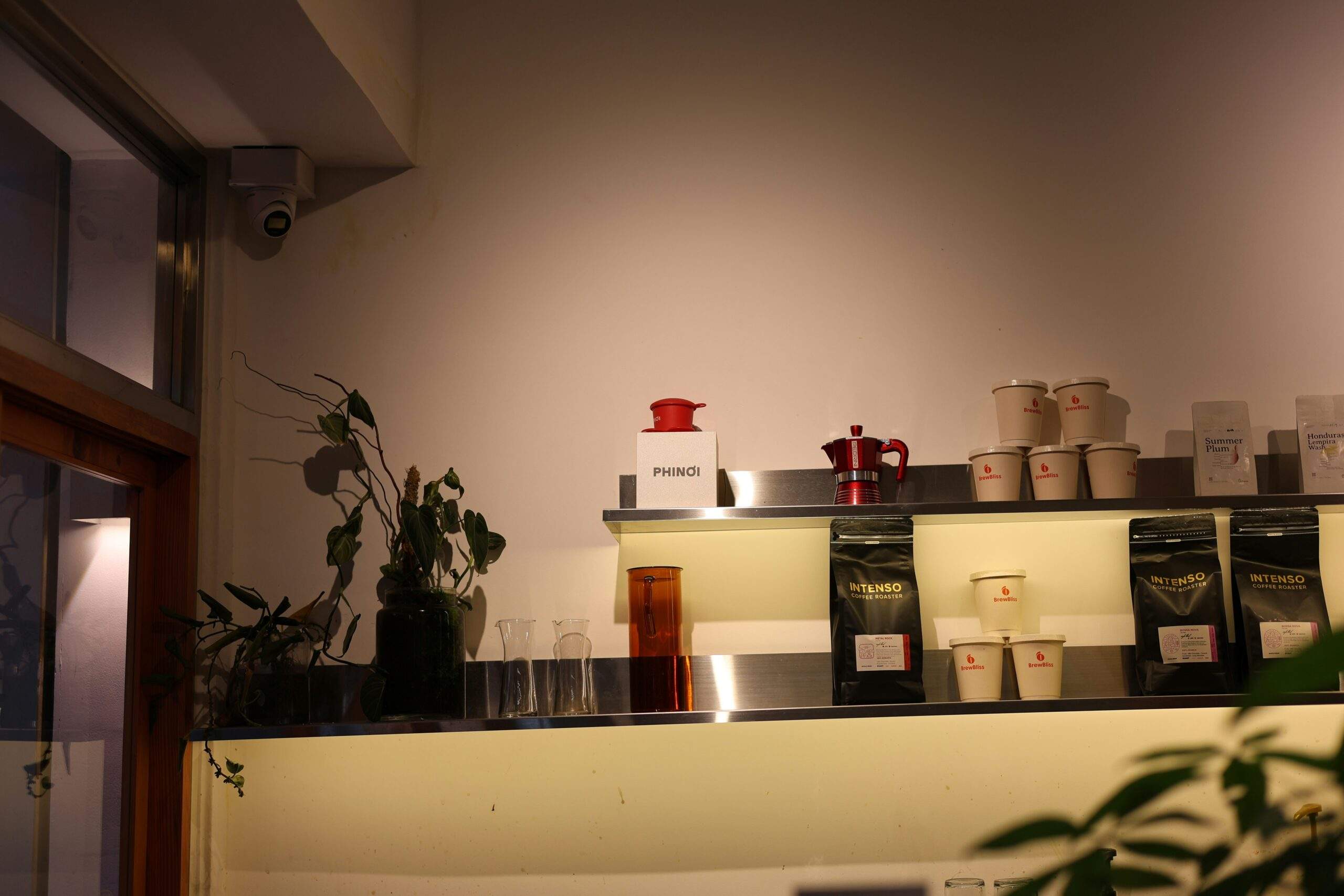 A workspace showcasing skincare products next to a small potted monstera plant