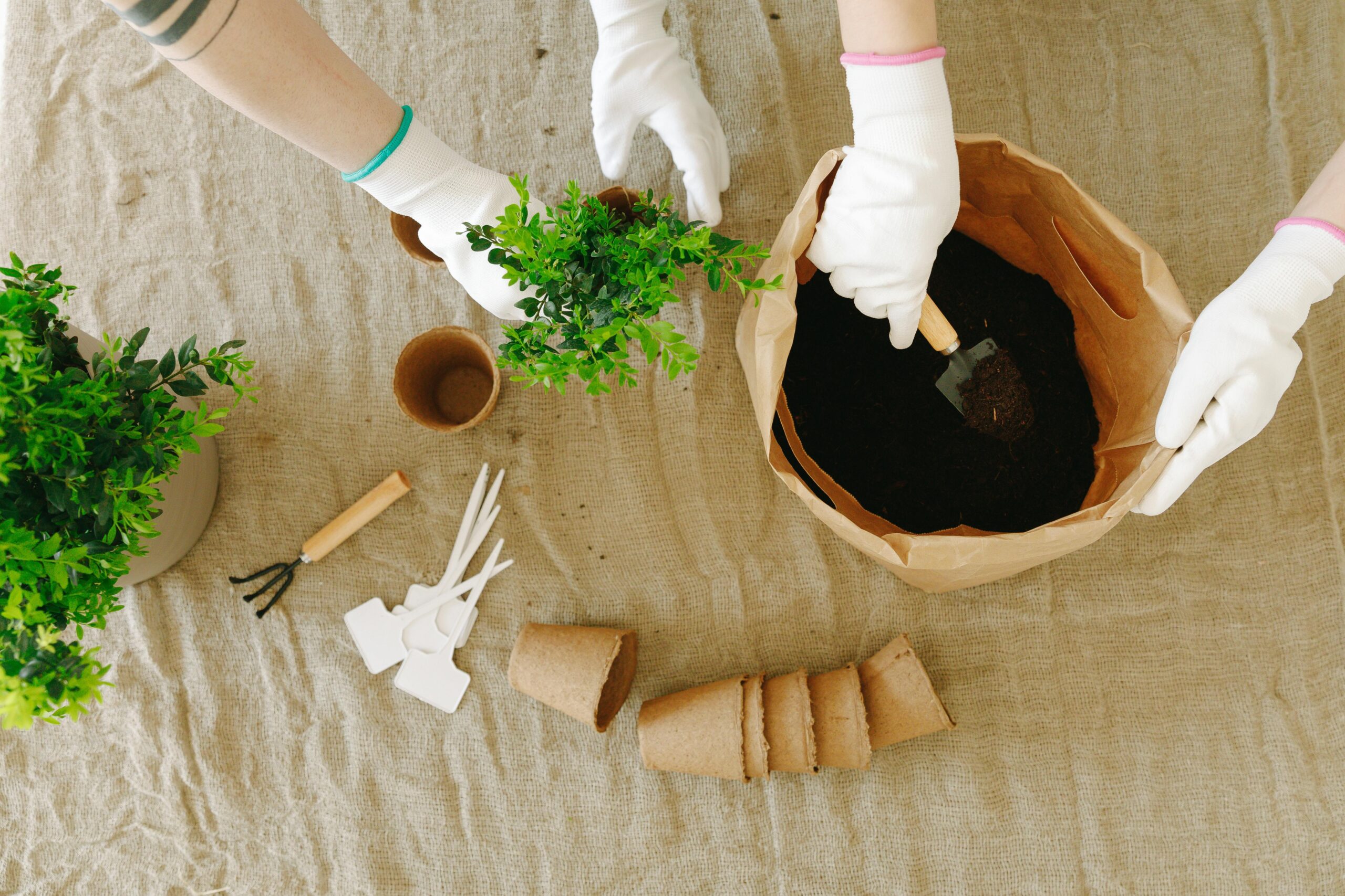 garden tools soil