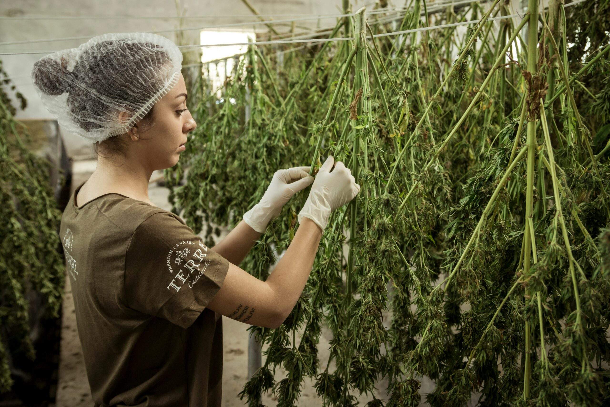 Woman applying a green mask made from blended herbs and plants to her face