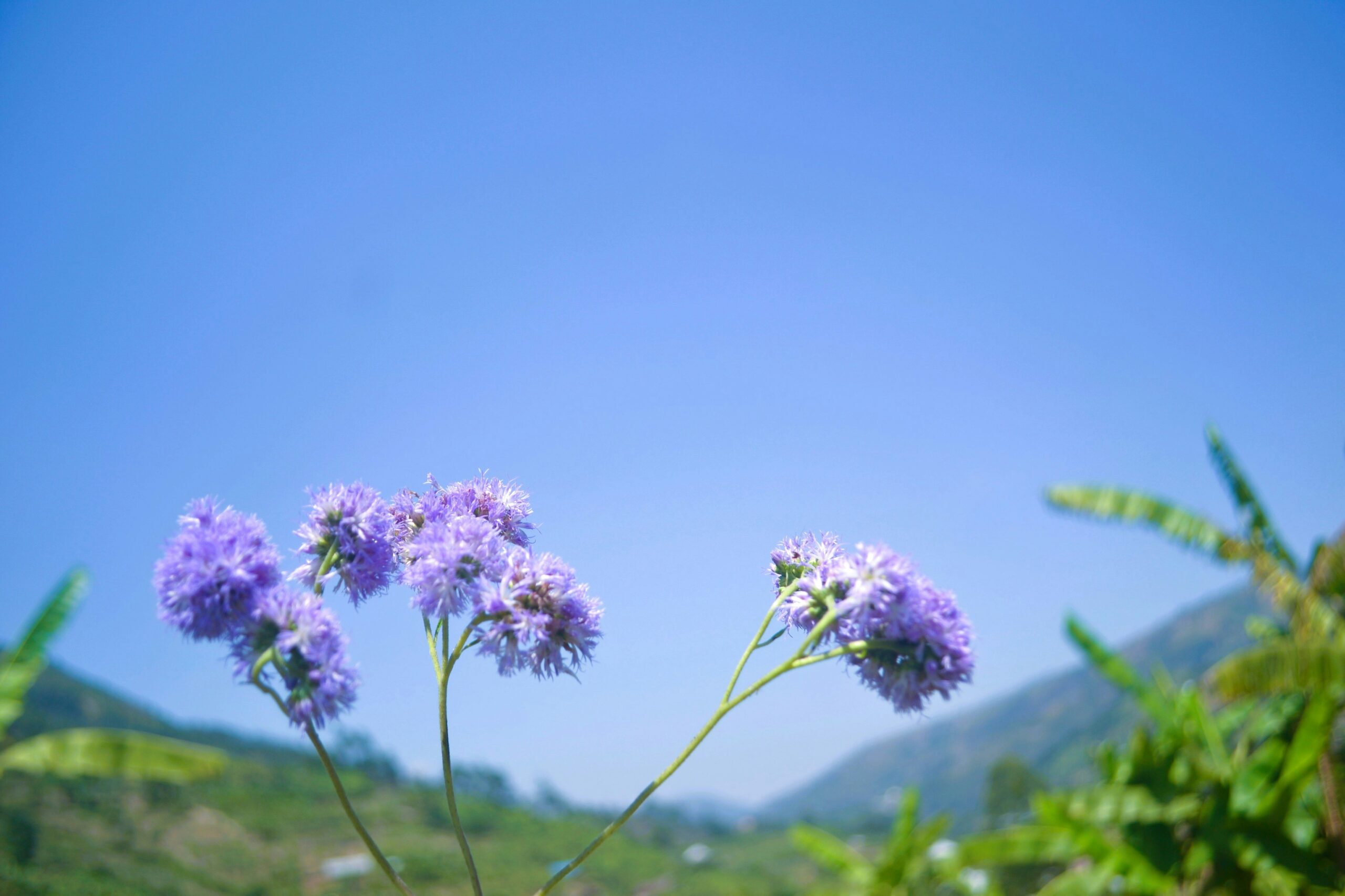 A setup featuring several herbs placed under artificial grow lights in a cozy corner.