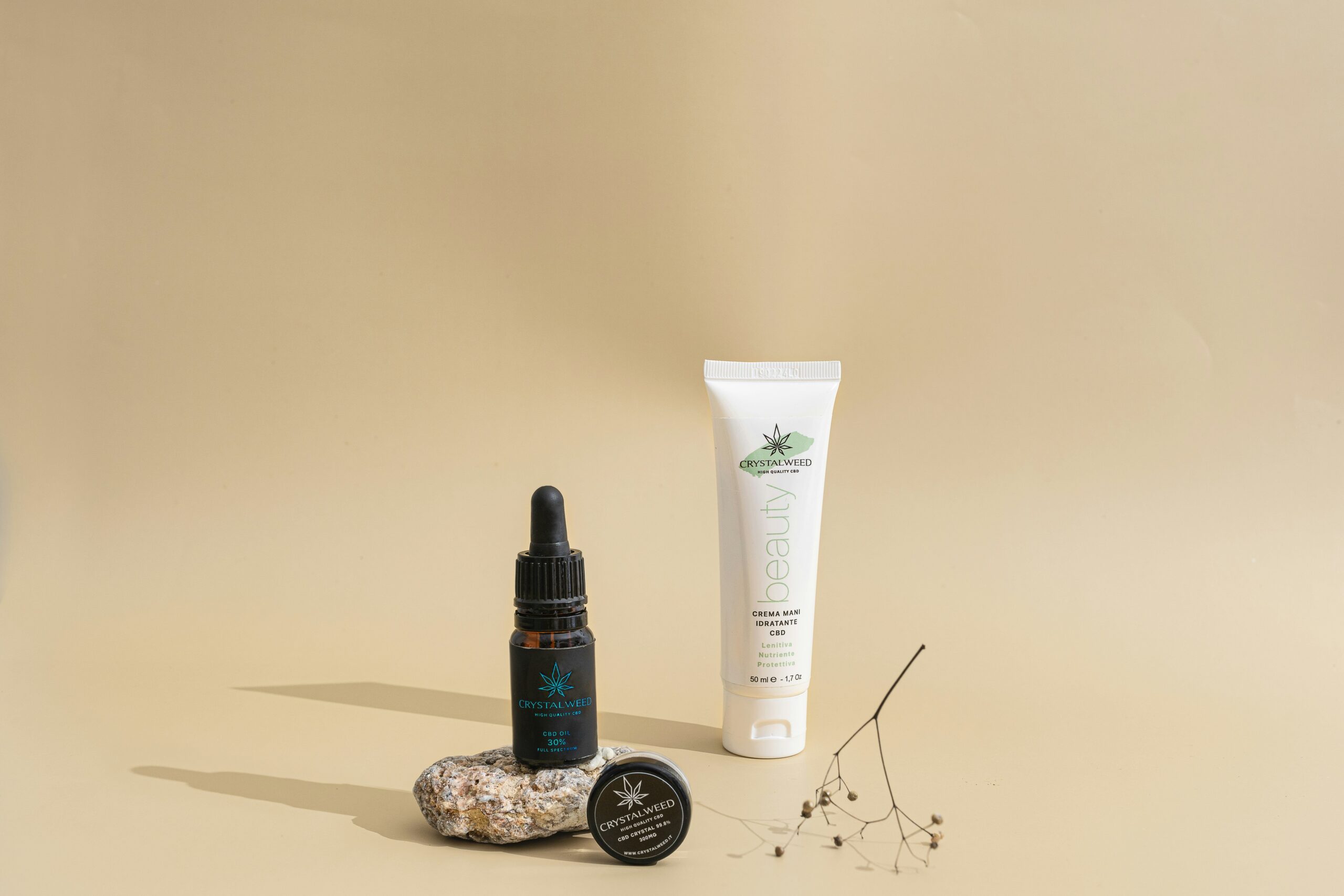 Popular botanical skincare ingredients Infographic showing popular botanical skincare ingredients like chamomile and rosehip oil