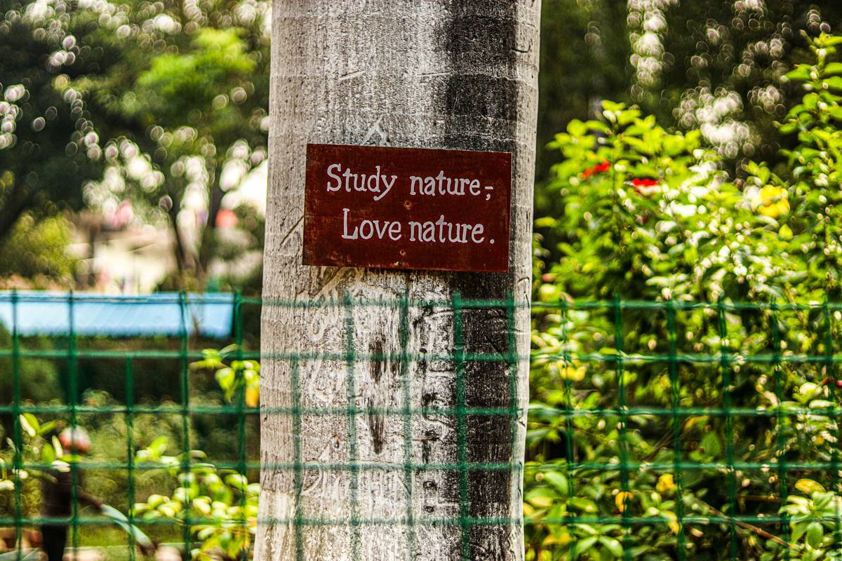 A bowl containing turmeric powder and yogurt, perfect for a DIY face mask