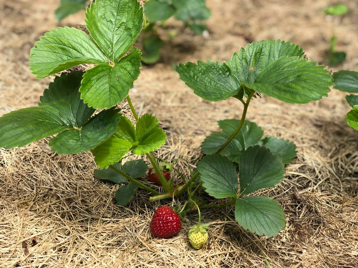 Illustration showing excessive cosmetic waste polluting landfills