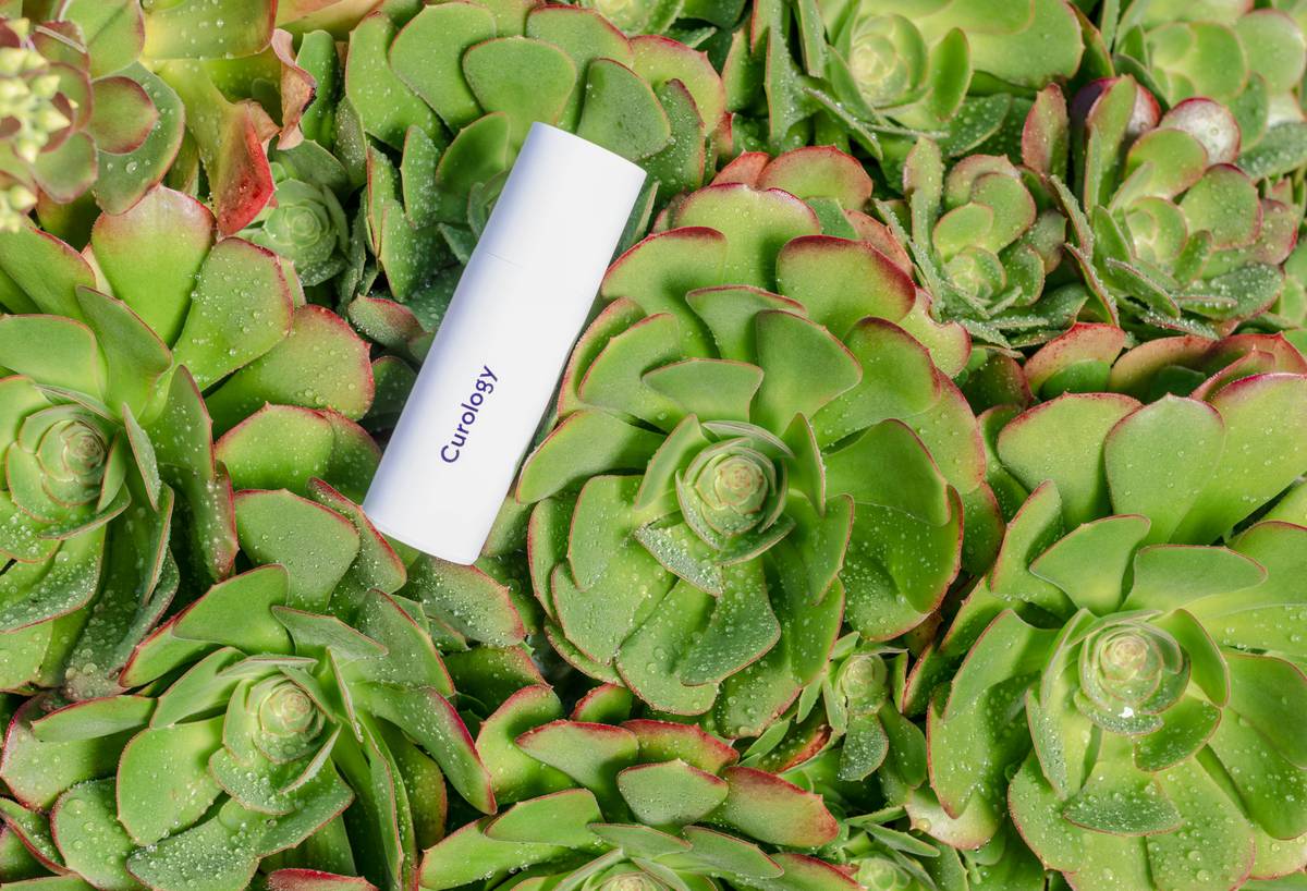 Why Organic Geranium for Skin is a Game-Changer in Natural Beauty