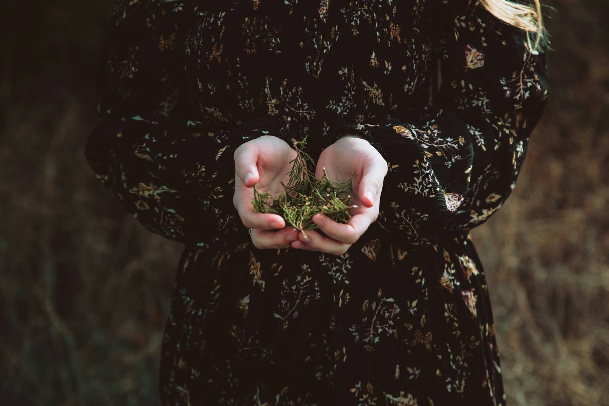 A woman applying a serum made from wild-harvested plants during her morning skincare routine