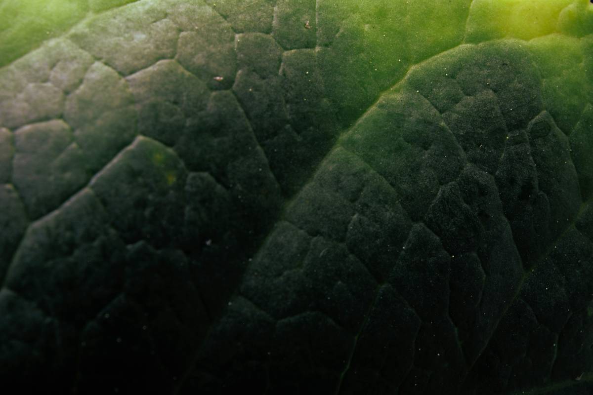 A woman holding fresh pansies while preparing a DIY skincare mask
